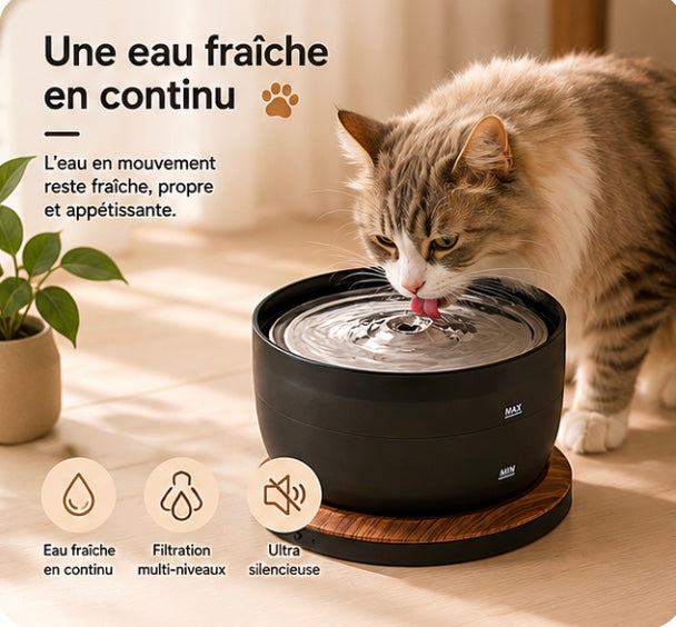 Fontaine à Eau Automatique pour Chat – Design Moderne