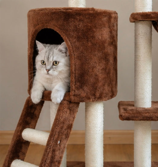 Arbre à Chat Multiniveaux