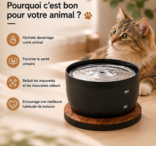 Fontaine à Eau Automatique pour Chat – Design Moderne