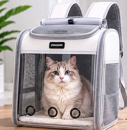 Sac à Dos Capsule Respirant pour Chat – Transport Quotidien
