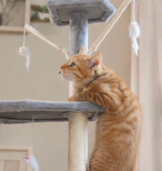 Arbre à Chat Multiniveaux