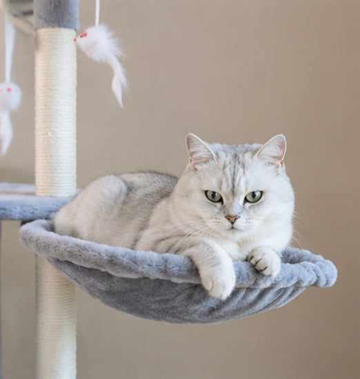 Arbre à Chat Multiniveaux