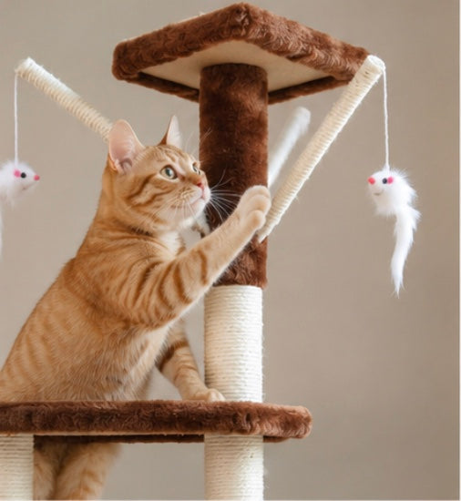Arbre à Chat Multiniveaux