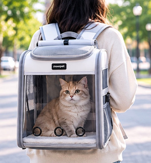 Sac à Dos Capsule Respirant pour Chat – Transport Quotidien