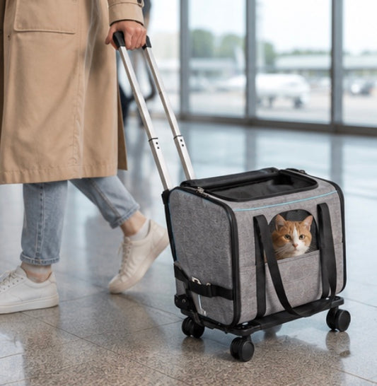 Sac de Transport pour Chat à Roulettes – Convertible et Pliable