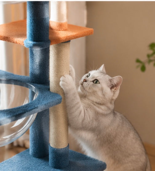 Arbre à Chat Design avec Espaces de Repos – Grand Format