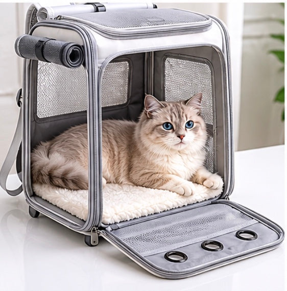 Sac à Dos Capsule Respirant pour Chat – Transport Quotidien