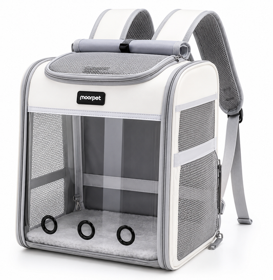 Sac à Dos Capsule Respirant pour Chat – Transport Quotidien